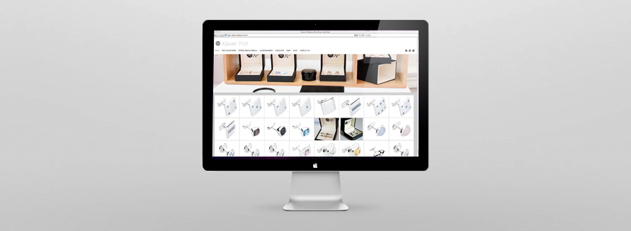 xavier piot website development